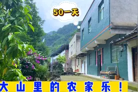 大山里的农家乐，50块一天包吃住，还可以免费钓鱼，你愿意来吗？视频封面