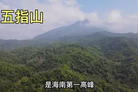 实拍海南第一高山，五指山，海拔1867米，真的好壮观呀！视频封面