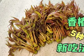 春天独有美食，春芽做法大挑战，5种香椿吃法你见过几种视频封面