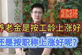 养老金是按工龄上涨好，还是按职称上涨好呢？差别很大视频封面
