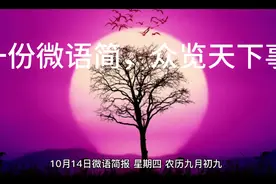 每日微语简报。一份微语简，众览天下事。视频封面