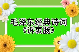 毛泽东经典诗词《诉衷肠》视频封面