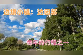 想知道新疆有多美？就到边境小镇达因苏视频封面