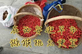 人间烟火气—西安早市，香香甜甜猕猴桃特别便宜，5元买了一袋视频封面