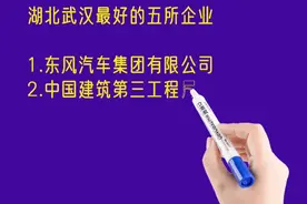 湖北武汉最好的五所企业排名视频封面