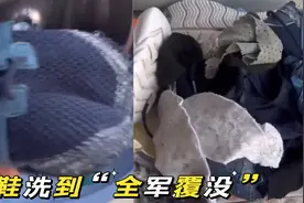 全军覆没！女子洗衣机洗鞋按错键，鞋子小的小烂的烂全都报废了视频封面