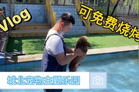 乌市这家宠物乐园，适合带狗狗来游泳玩耍，自带食材还可免费烧烤视频封面