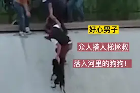 狗狗意外落入河里，在危险时刻，好心男子众人搭人梯拯救狗狗！视频封面
