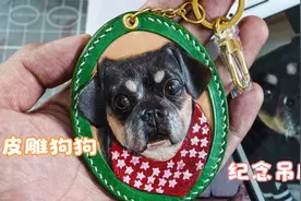 生命的终点是死亡，死亡的终点是被遗忘。愿你化作吊牌永远在身边视频封面