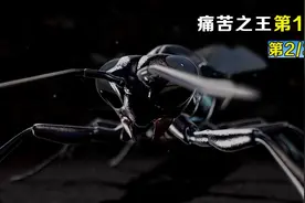 两男子轮流遭大黄蜂毒刺攻击，看他们的表情我怕了视频封面