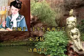 清明时节雨纷纷！清明之寄怀！读苏轼《江城子·十年生死两茫茫》视频封面