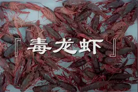 吃小龙虾到底会不会中毒？视频封面