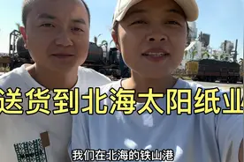 送货到北海太阳纸业，到卸货地一看厂门口停了几百台半挂排队卸货视频封面