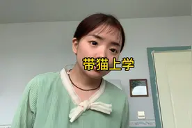 朵朵带猫上幼儿园，结果出问题了视频封面