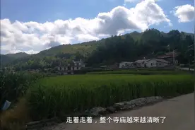 福建与广东交界处岩前镇大布村—法云寺