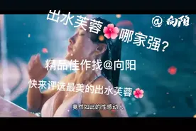 最美的出水芙蓉🌺是谁？快来评选吧！视频封面