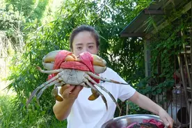 480买了几只大青蟹，为了不浪费食材，小妹做了一锅蟹肉煲视频封面
