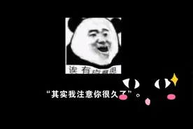 其实我注意你很久了视频封面