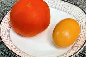 西红柿鸡蛋极速瘦身，连吃7天，肚子平了，腰细了，真正的减脂餐视频封面