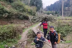 贵州女人真厉害，独自带儿子在农村生活，爬树砍柴只为熏好土猪肉视频封面