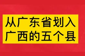 从广东省划入广西的五个县，市，如果没有划入广西，可能更好视频封面