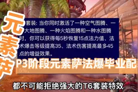 魔兽世界TBC怀旧服：P3阶段雷电法王（元素萨）法爆毕业配装推荐视频封面