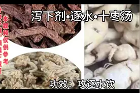 十枣汤，治咳唾胸胁引痛，心下痞硬胀满，一身悉肿，尤身半以下重视频封面