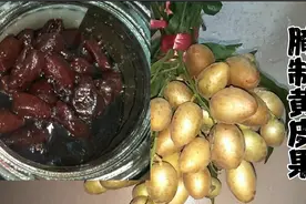 潮汕妹纸教你腌制黄皮果，配方和比例都在这里， 止咳化痰又好吃