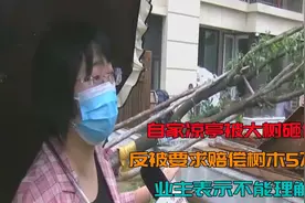 自家凉亭被大树砸倒，反被要求赔偿树木5万元，业主表示不能理解视频封面