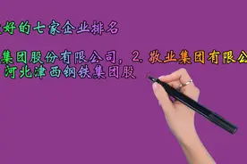 河北最好的七家企业排名视频封面