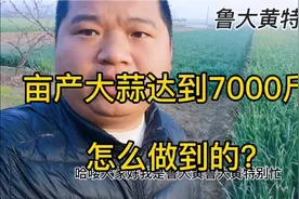 亩产大蒜达到7000斤，如此产量是如何做到的？高产秘诀在这里！视频封面