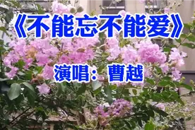 曹越演唱《不能忘不能爱》经典情歌特别好听，分享给大家！