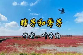 叶圣陶《瞎子和聋子》富有理趣，悟出真谛，珍惜当下，知足常乐视频封面