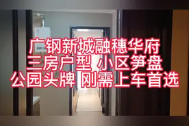 广钢新城融穗华府公园头牌刚需上车首选 三房户型 省级学位视频封面