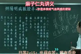 倪海厦-伤寒论，麻子仁丸，年老体衰或气血两虚的便秘