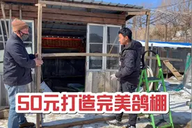 花50元重金建鸽棚，竣工之时欲设礼账，邀请祁哥、陈哥过来随礼视频封面