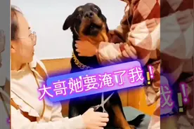 大嫂你说啥是啥，都听你的，可不能拿我“下边〞开玩笑啊！视频封面