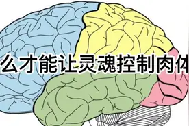 认知大脑2，每天五分钟，改变人性基因里的懒惰，绝对有效！视频封面