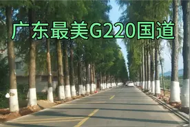广东最美国道G220，沿途风景如画视频封面