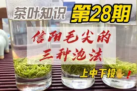 信阳毛尖的三种泡法，茶叶知识第28期，最后还是得用上投法视频封面