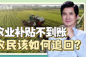 8.8亿农机补贴没发放给农民？郑风田：33个工作日没到就可以举报视频封面