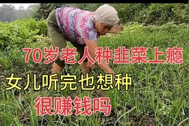农村种韭菜很赚钱？70岁老人种上瘾，说可以致富，女儿听完也想种视频封面