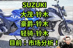 铃木摩托车（大茂-铃木、豪爵-铃木、轻骑-铃木）目前：市场分析