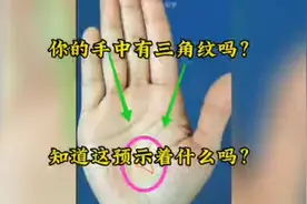 你的手中有三角纹吗？知道这预示着什么吗？视频封面