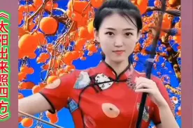 二胡笛子合奏纯音乐《太阳出来照四方》百听不厌，再忆经典。视频封面