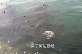 男子发现“狗狗”落水，想上前营救，仔细一看吓出一身冷汗视频封面