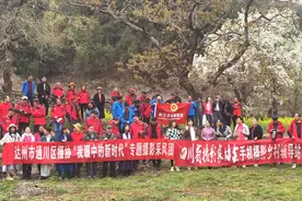 众多摄影家齐聚东梨村拍摄梨花，百亩梨花等你来，最美梨花开视频封面