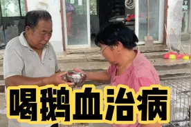 听说鹅血能治腿疼，饱受病痛的老妈妈，今天决定试一试视频封面