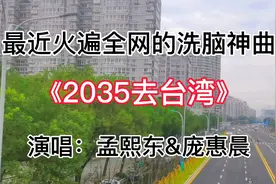 火爆全网《2035去台湾》两岸网友齐传唱，愿祖国早日统一实现愿望视频封面