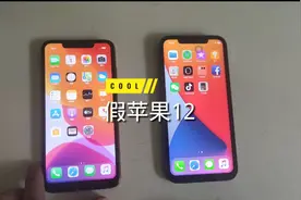 你见过这么真的 假苹果12promax吗 你不看这个视频会买假苹果12视频封面